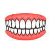 teeth